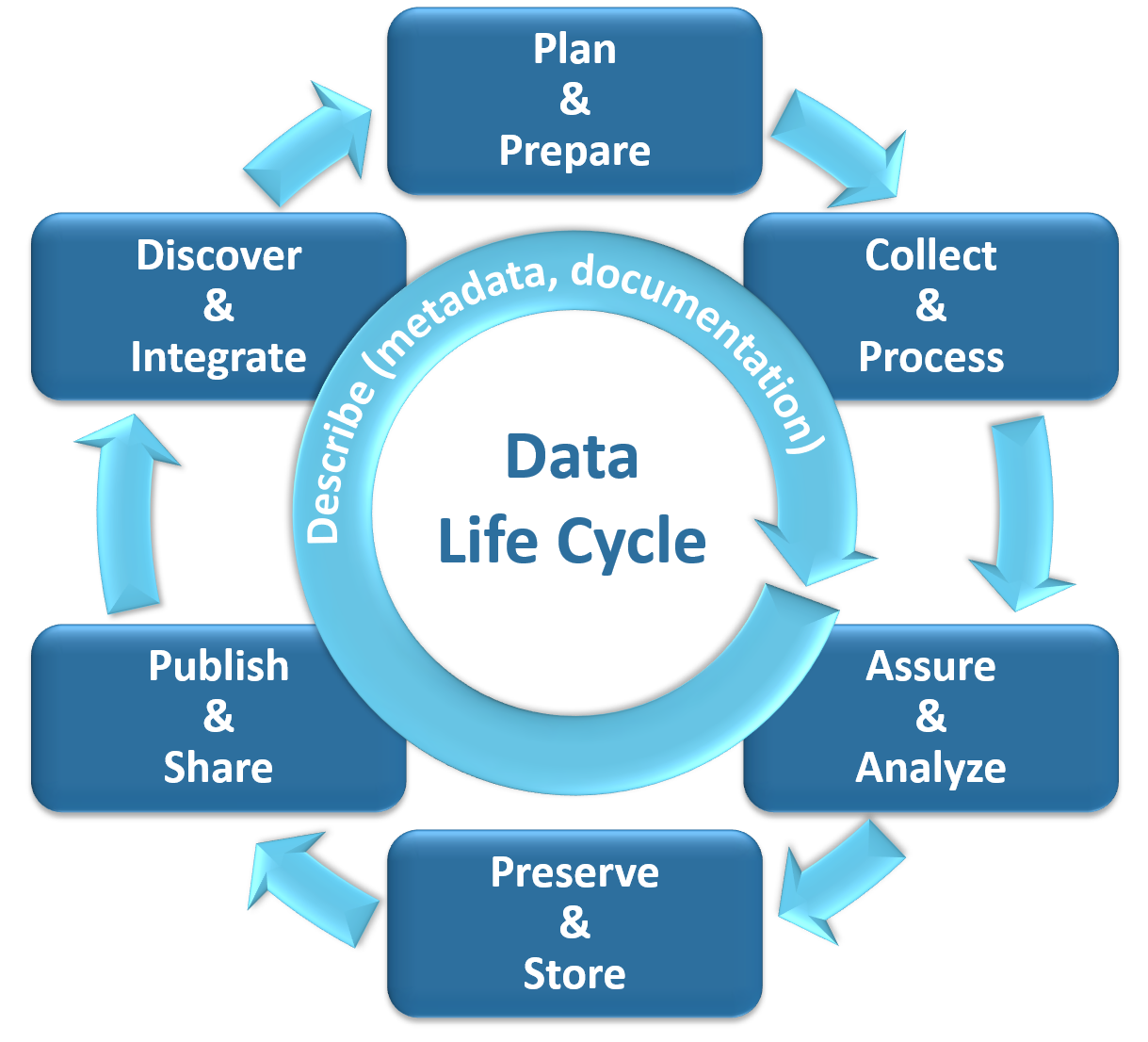 Graphic showing the seven main phases of the Data Life Cycle: (1) Plan and Prepare, (2) Collect and Process, (3) Assure and Analyze, (4) Preserve and Store, (5) Publish and Share, (6) Discover and Integrate, and (7) Describe - which is integral to all of the other phases