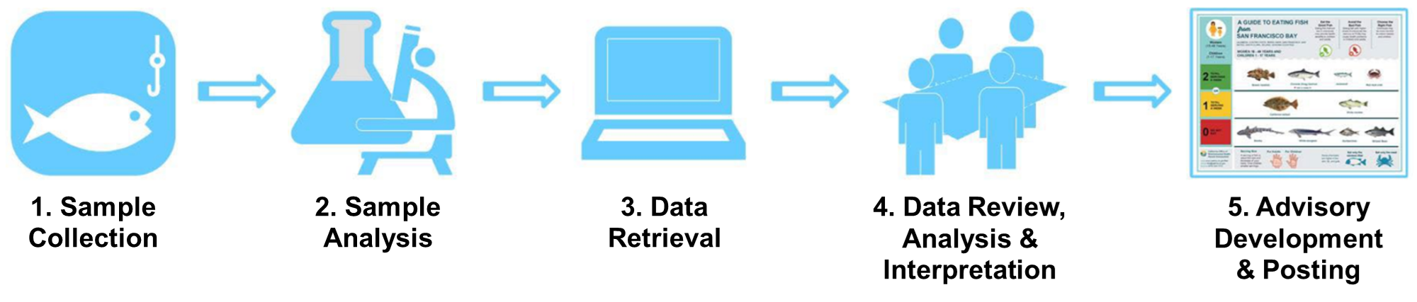 Graphical linear workflow representing the five step OEHHA Fish Advisory Development Process. Each step is described in detail below.